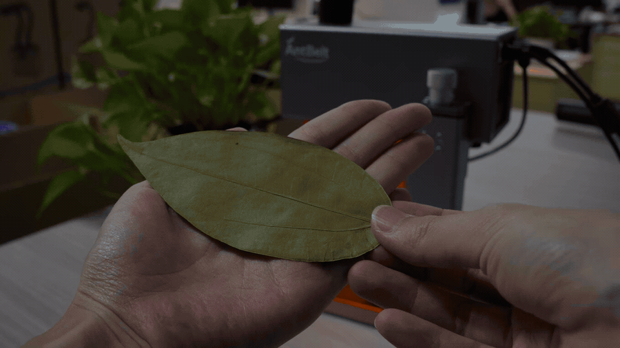 AntBelt G1 Kickstarter Story media